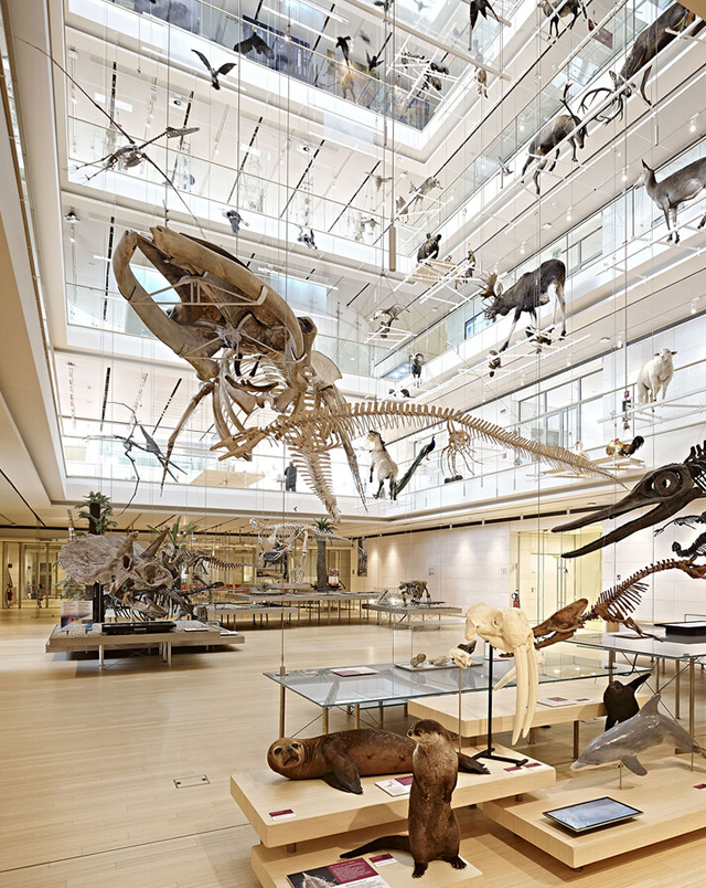 Trento 32 Km. Museo MuSe